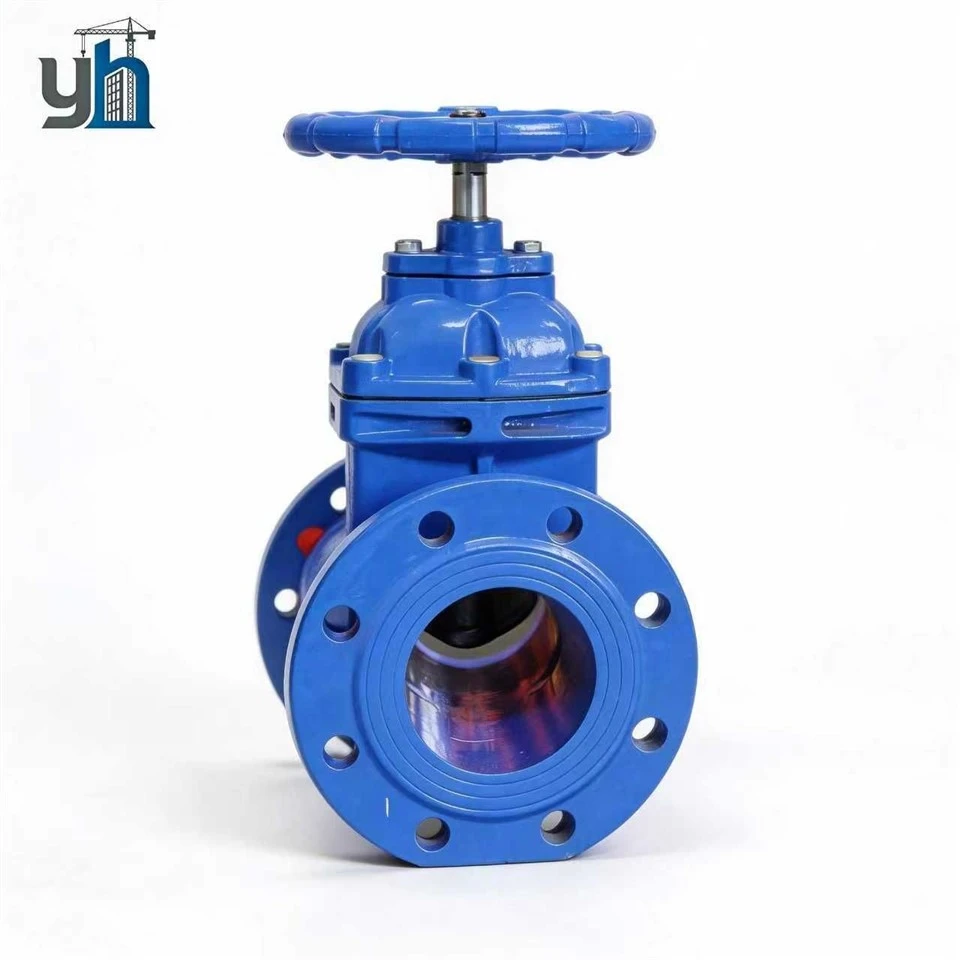 Flanged Non-rising Stem Gate Valve factory